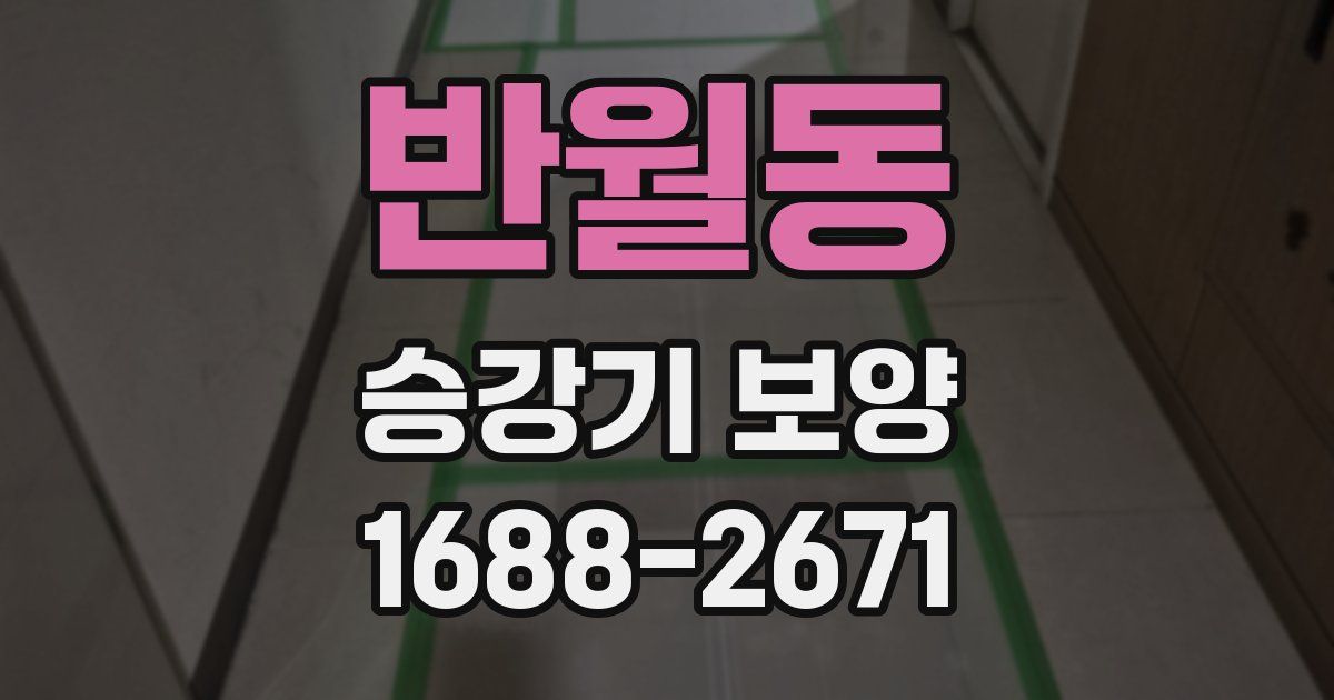 반월동 승강기 보양