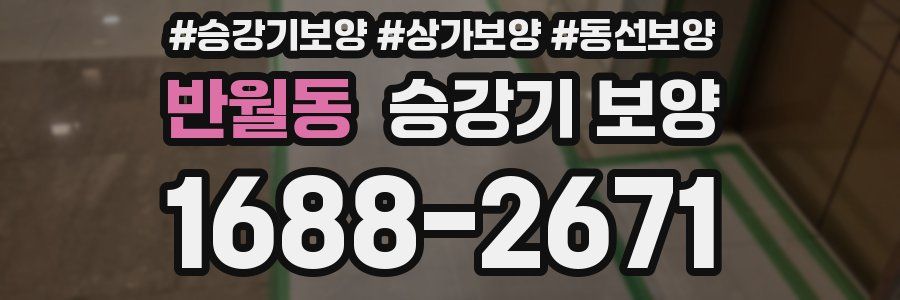 반월동 승강기 보양