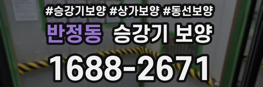 반정동 승강기 보양