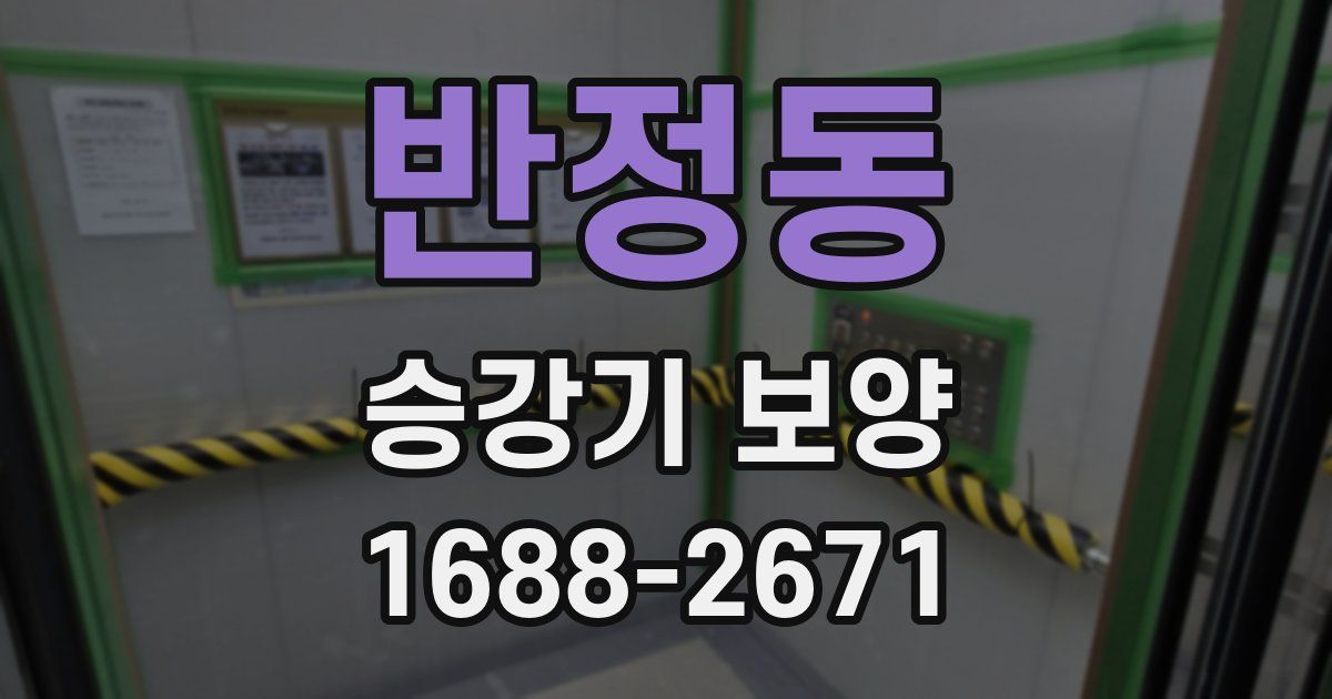 반정동 승강기 보양