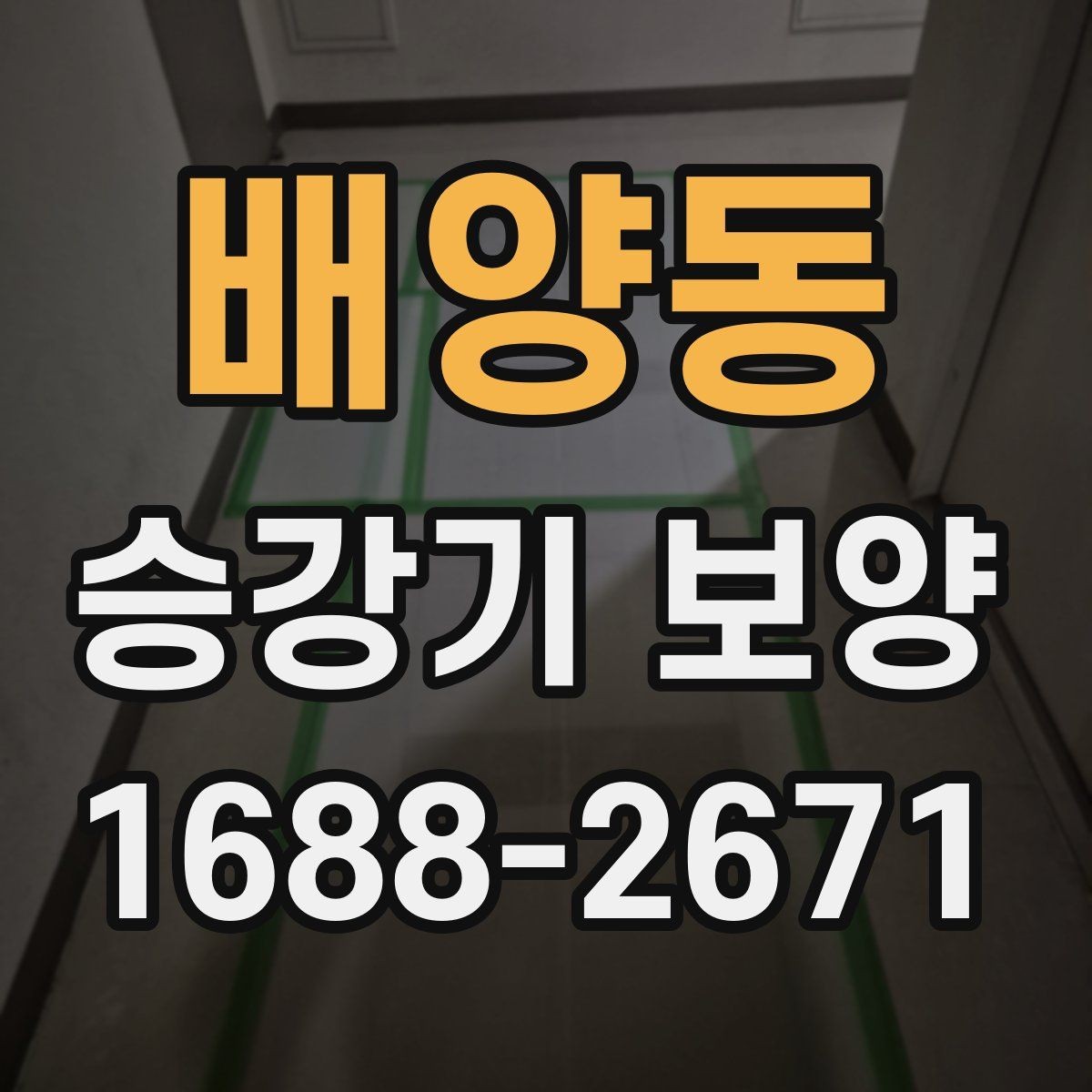 배양동 승강기 보양 시공 시 현장 보호가 필요한 이유