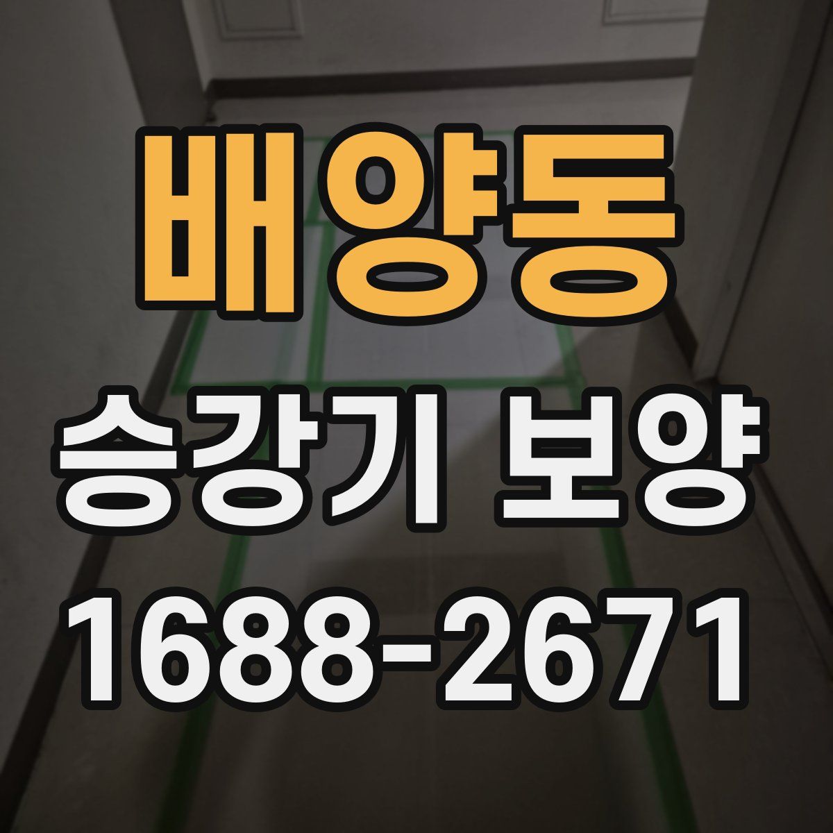 배양동 승강기 보양