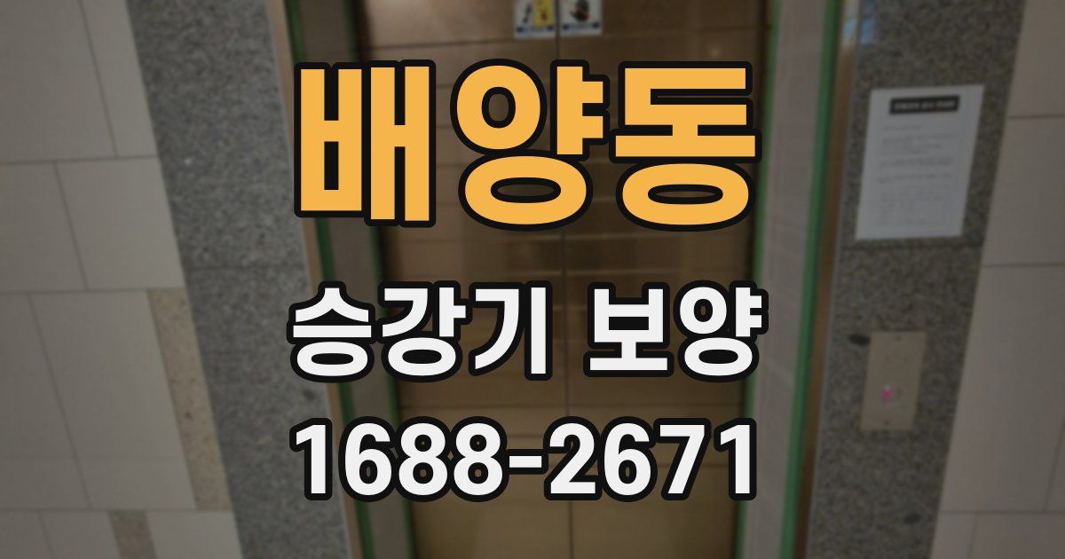 배양동 승강기 보양