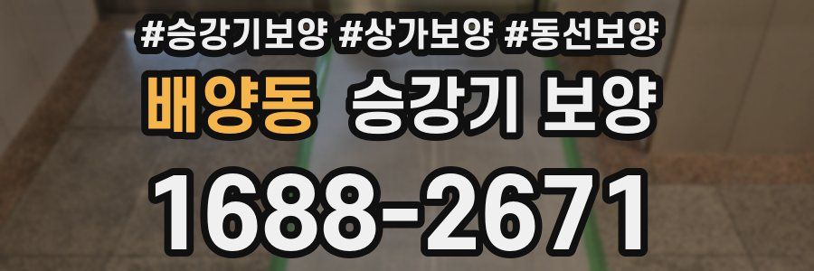 배양동 승강기 보양