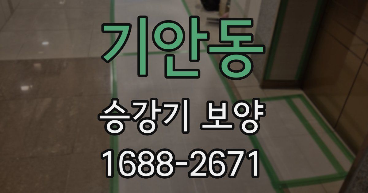 기안동 승강기 보양