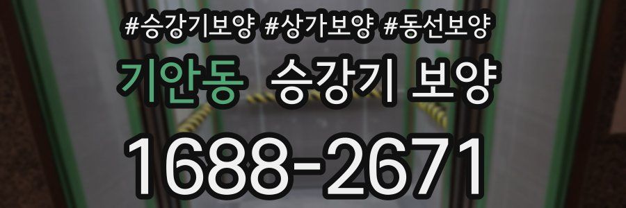 기안동 승강기 보양