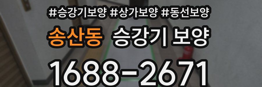 송산동 승강기 보양