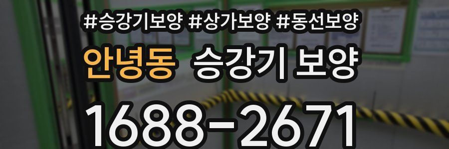 안녕동 승강기 보양