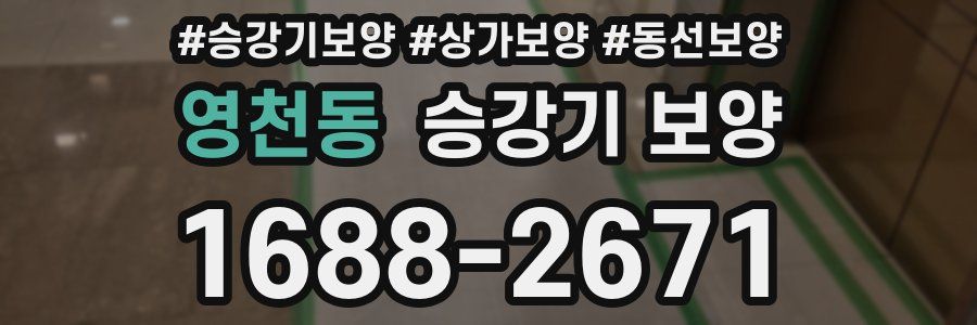 영천동 승강기 보양