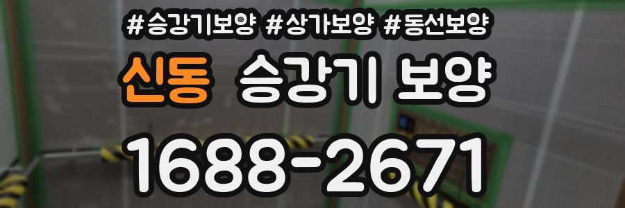 신동 승강기 보양