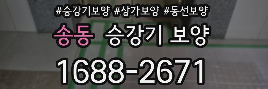 송동 승강기 보양