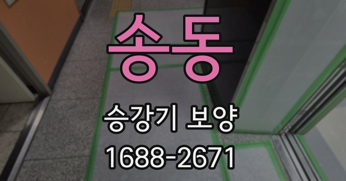 송동 승강기 보양