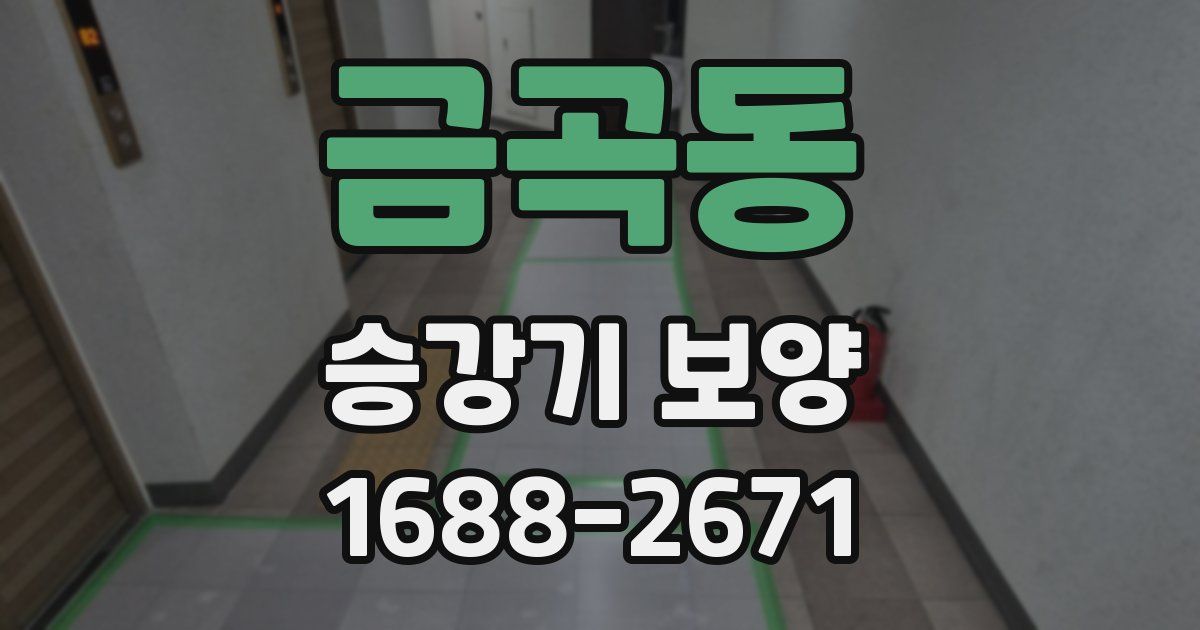 금곡동 승강기 보양
