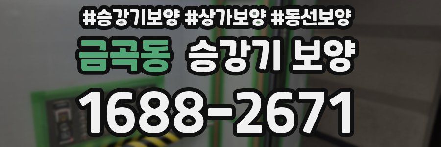 금곡동 승강기 보양