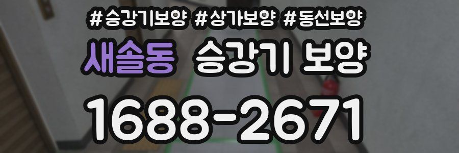 새솔동 승강기 보양