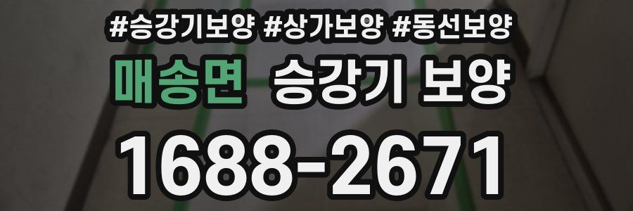 매송면 승강기 보양