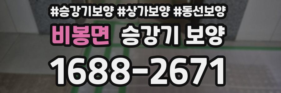 비봉면 승강기 보양