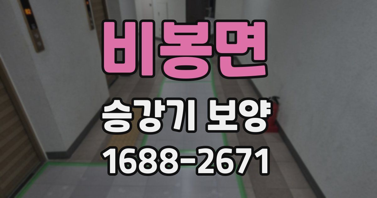 비봉면 승강기 보양