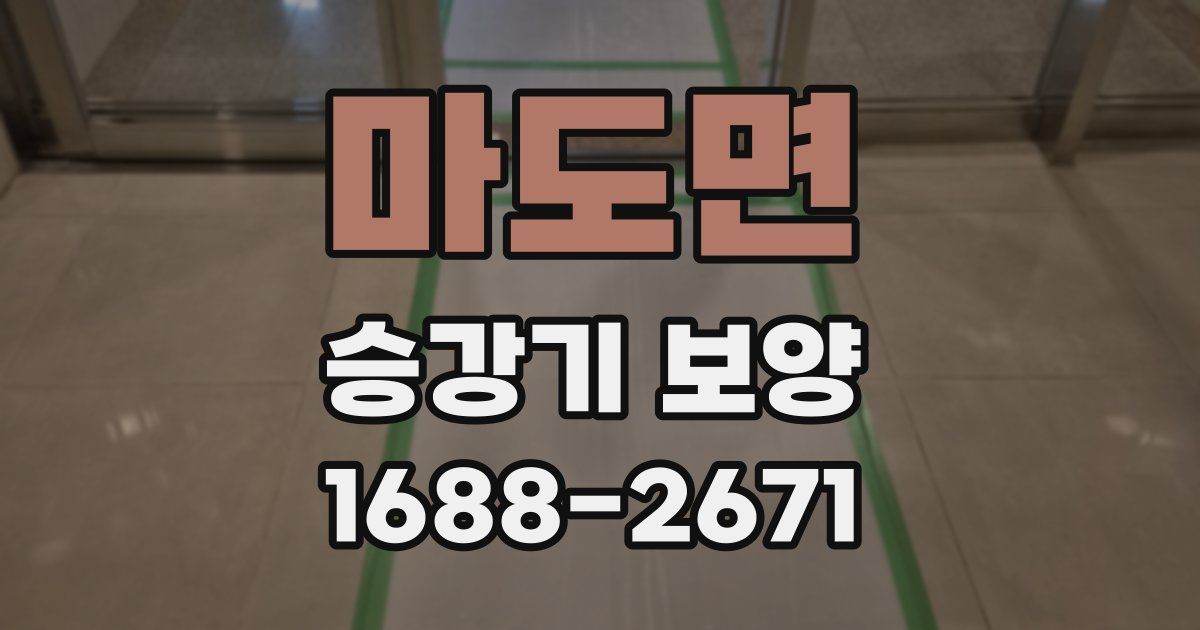 마도면 승강기 보양