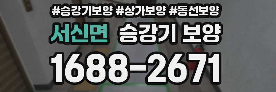 서신면 승강기 보양