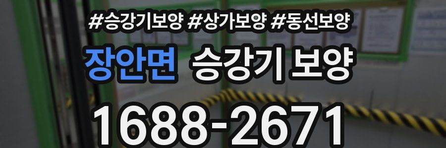 장안면 승강기 보양