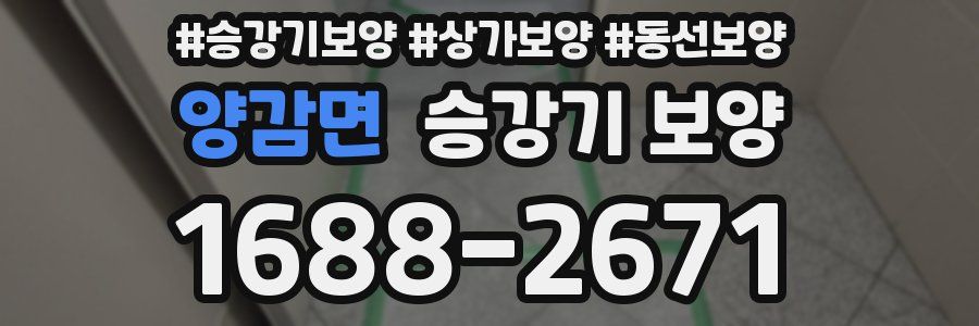양감면 승강기 보양
