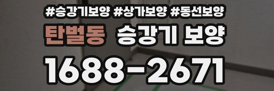 탄벌동 승강기 보양