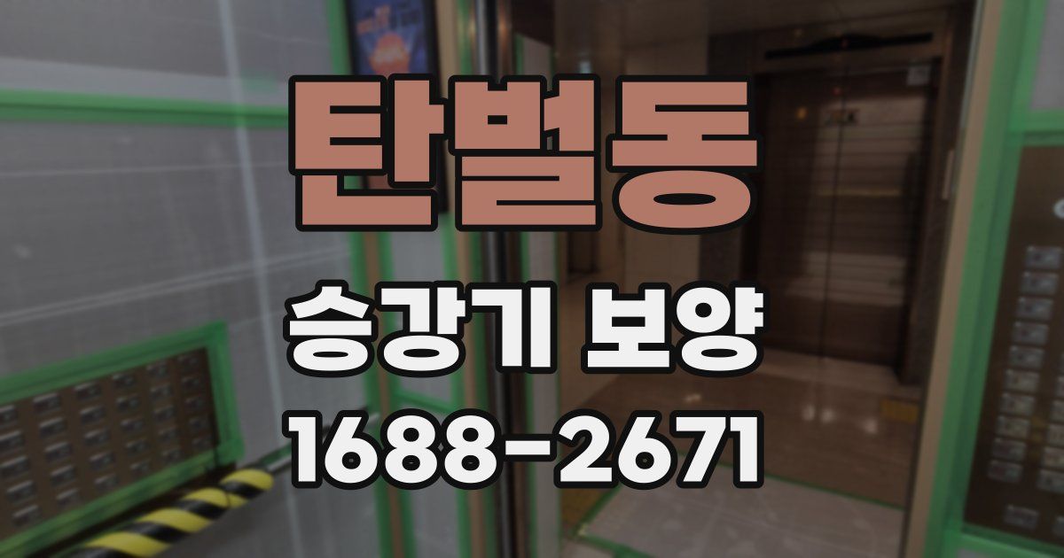 탄벌동 승강기 보양