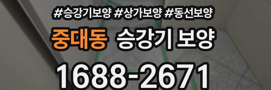 중대동 승강기 보양