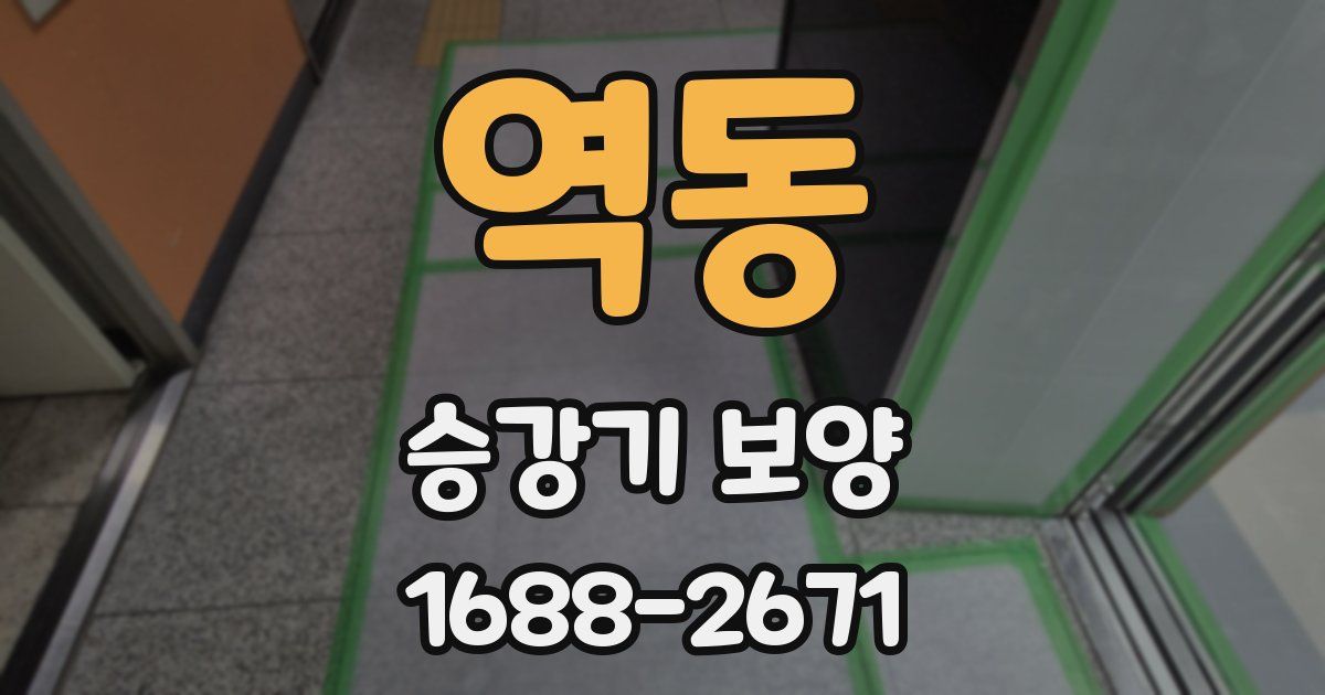 역동 승강기 보양