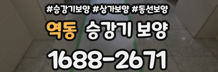 역동 승강기 보양