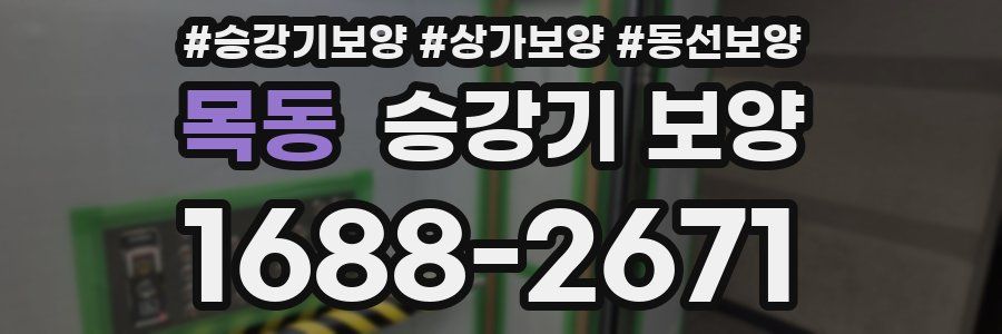 목동 승강기 보양
