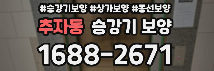 추자동 승강기 보양