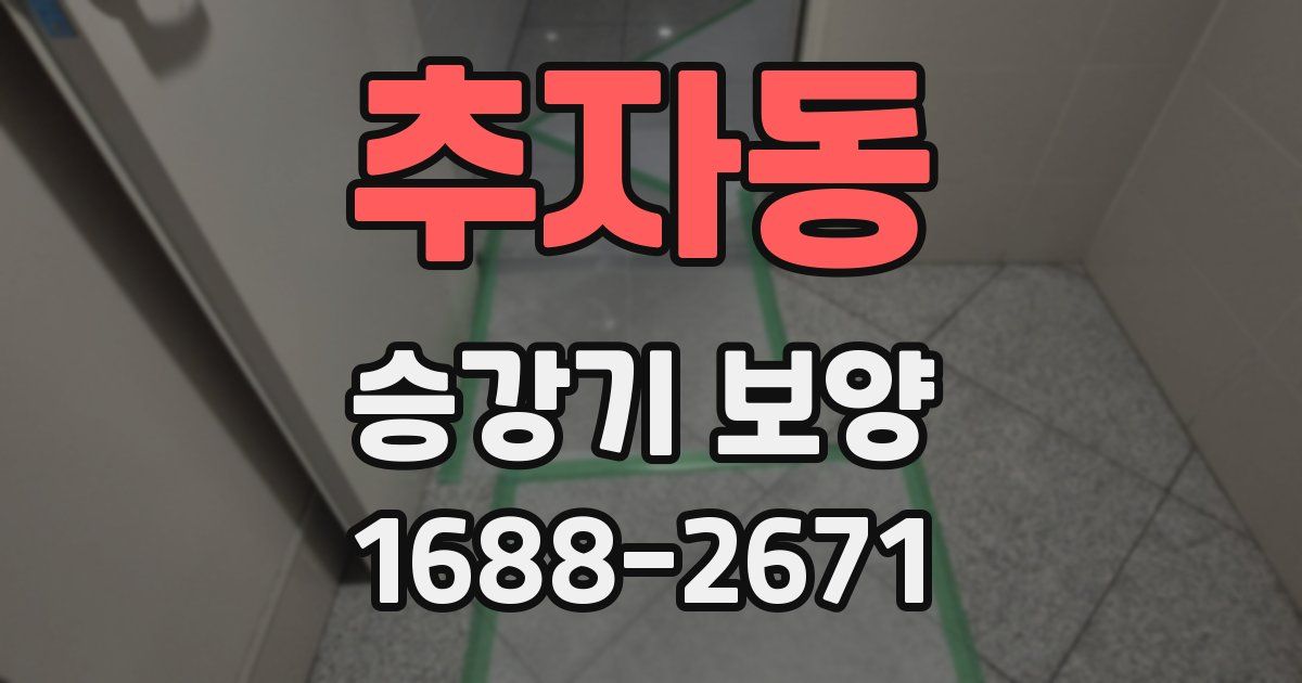 추자동 승강기 보양