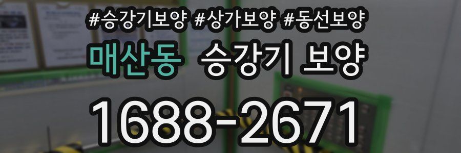 매산동 승강기 보양