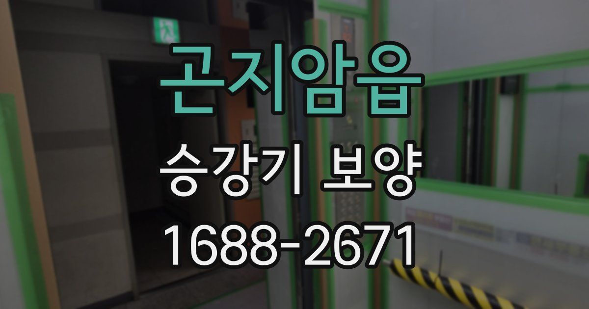 곤지암읍 승강기 보양
