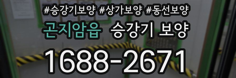 곤지암읍 승강기 보양