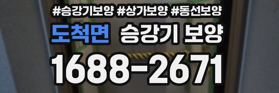 도척면 승강기 보양
