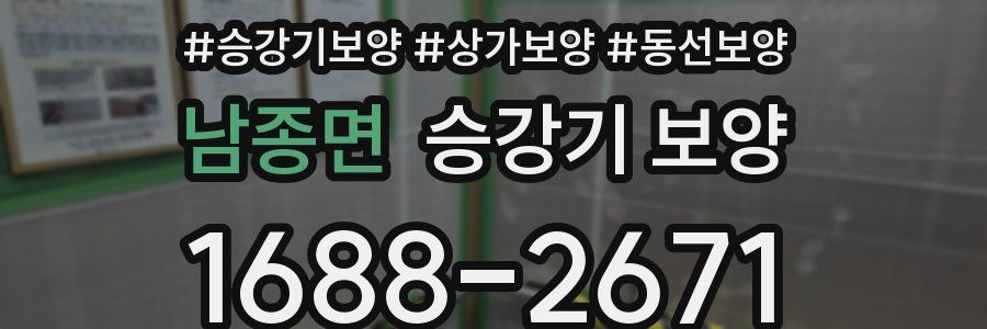남종면 승강기 보양