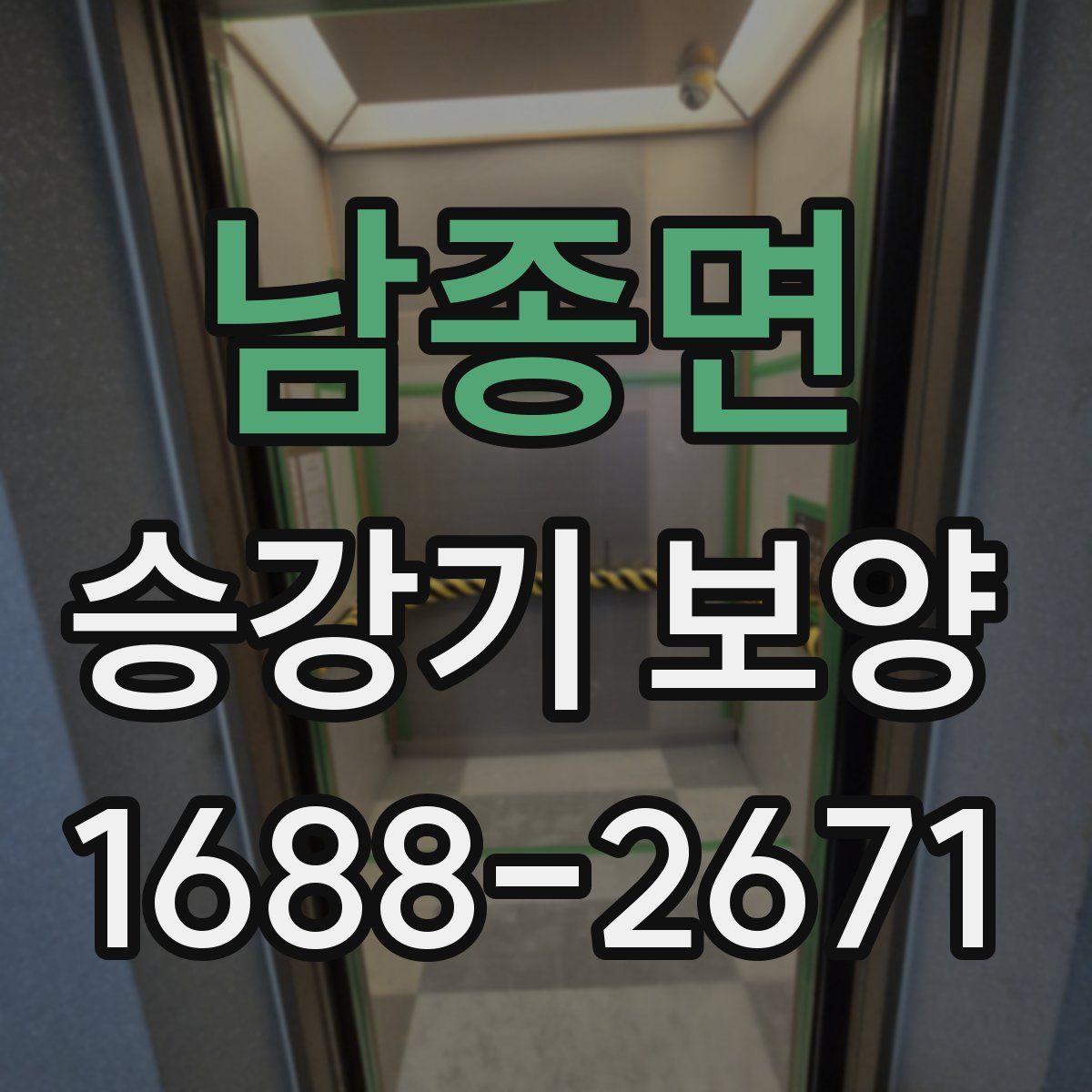남종면 승강기 보양