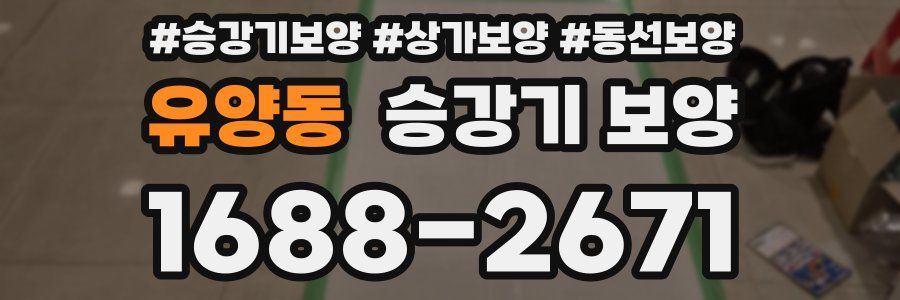 유양동 승강기 보양