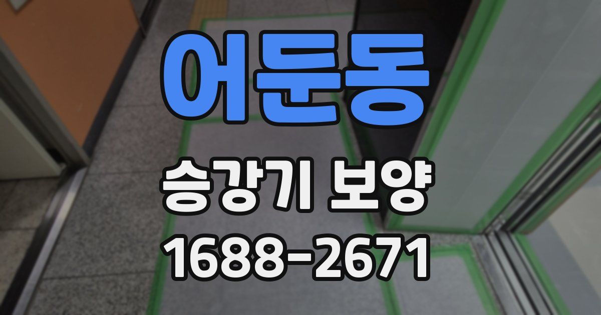 어둔동 승강기 보양
