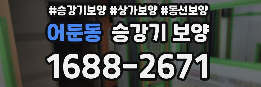 어둔동 승강기 보양