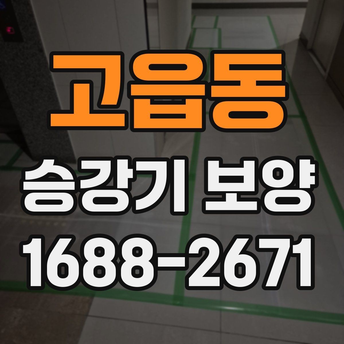 고읍동 승강기 보양 대상이 되는 구역은 어디인가