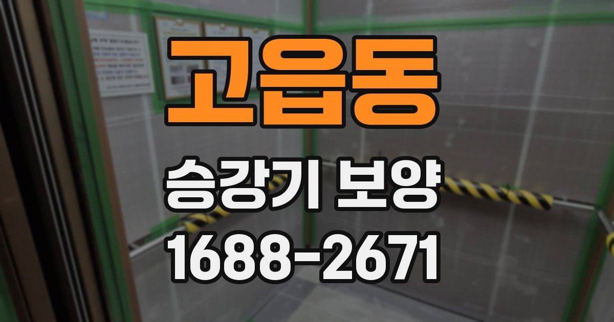 고읍동 승강기 보양