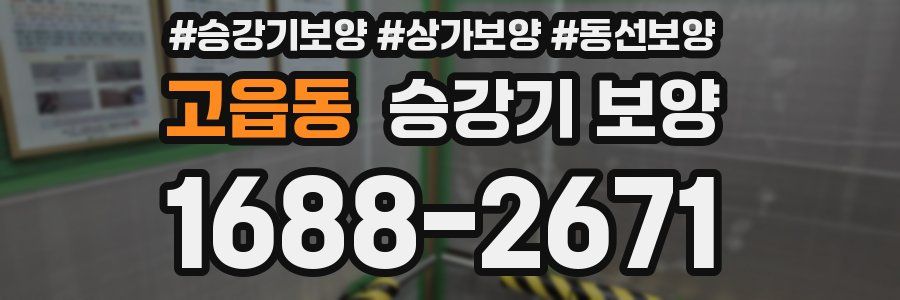 고읍동 승강기 보양
