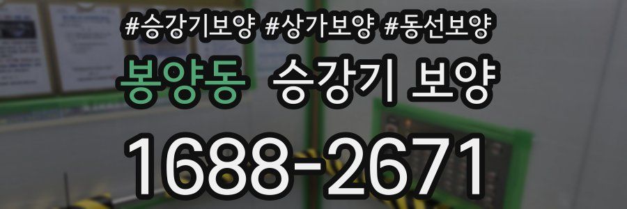 봉양동 승강기 보양