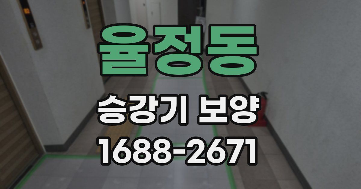 율정동 승강기 보양