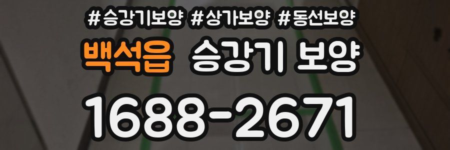 백석읍 승강기 보양