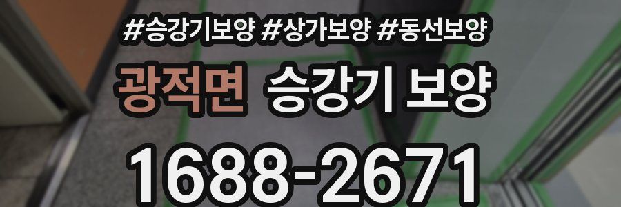 광적면 승강기 보양